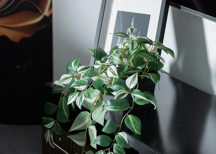 Apartment Hanza Tower 309 By Bookinghost